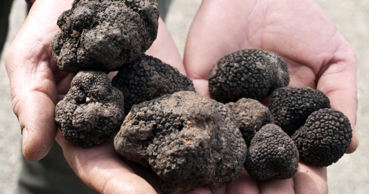 A Spoonful of Slow Food