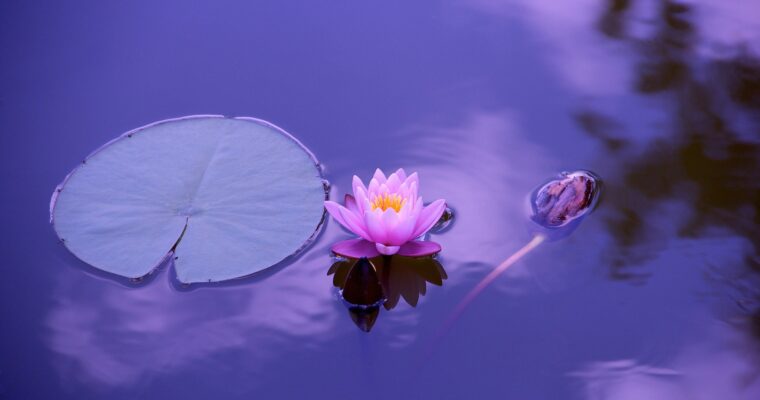 Dinacharya: the art of establishing a daily routine