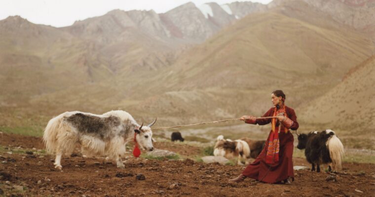 In the Stillness of the Himalayas, A Textile Revival Blooms