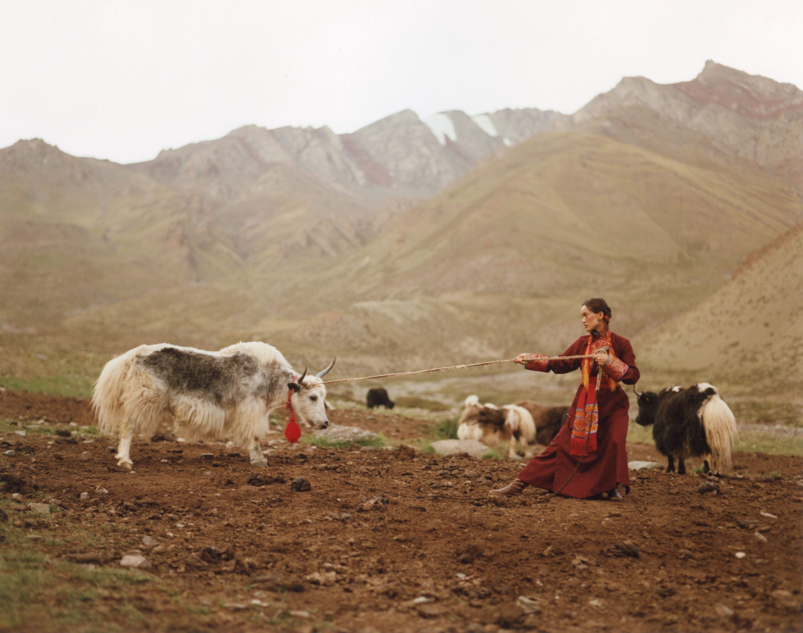 In the Stillness of the Himalayas, A Textile Revival Blooms